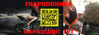 mdma Сланцы