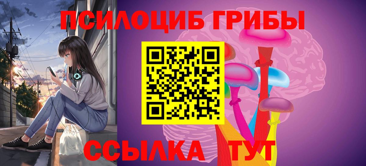 Псилоцибиновые грибы GOLDEN TEACHER Алексеевка